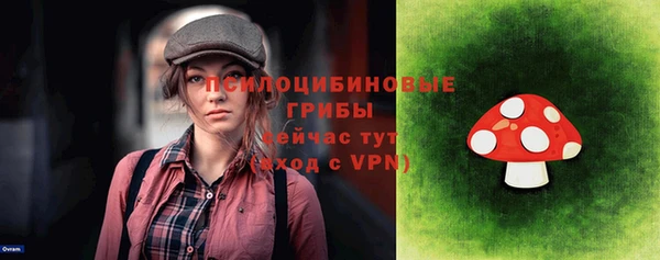 гидра Бородино