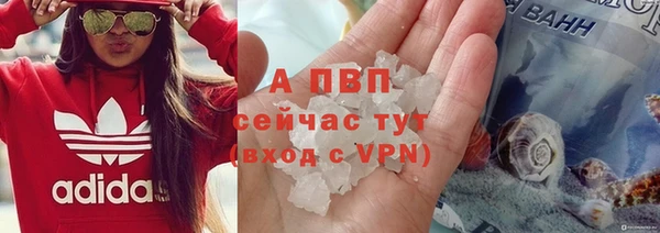гидра Бородино
