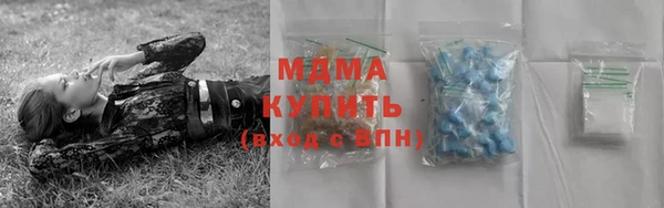 гидра Бородино