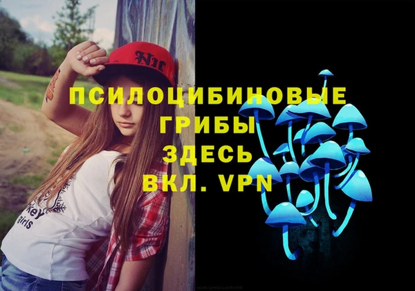 гидра Бородино
