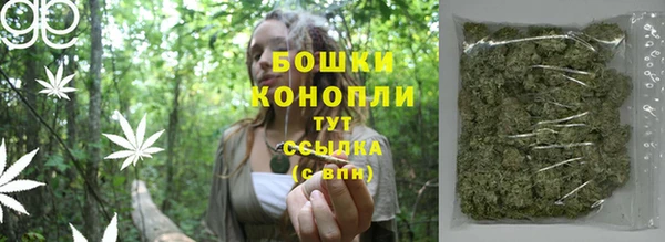 гидра Бородино