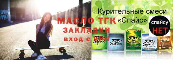 гидра Бородино