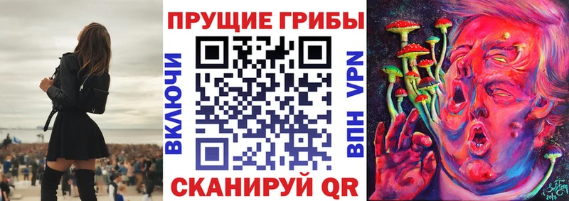 Псилоцибиновые грибы Psilocybine cubensis  кракен рабочий сайт  сайты даркнета клад  Гусиноозёрск 